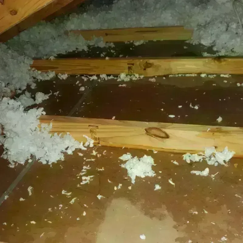 Attic Water Damage in Everett, WA