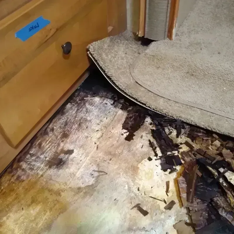 Best Wood Floor Water Damage Service in Everett, WA